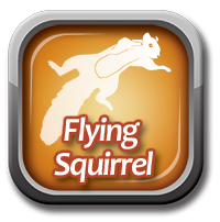 Flying squirrel software download download subway surf