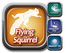 Flying Squirrel Suite