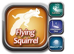 Flying Squirrel Suite